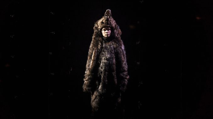 Child in a bear costume