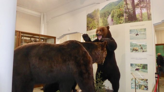 Bears outnumber residents